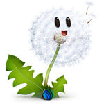 Аватар для DarkNisa