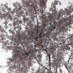 Аватар для Takuru6976