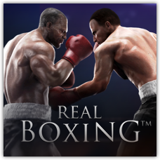 Real Boxing