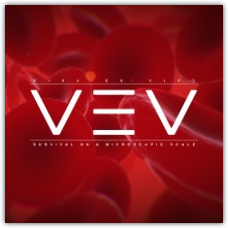 VEV: Viva Ex Vivo