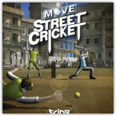 Move Street Cricket