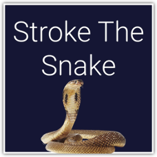 Stroke The Snake